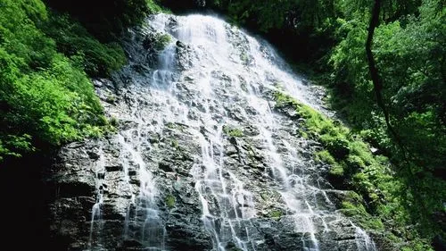 高性能环保